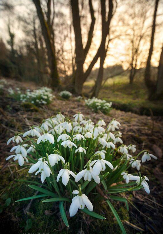 "Amíg nem adod fel, 
addig legyőzhetetlen vagy."
Andrew Matthews                                                                       Szép jó reggelt kivánok- Péntek  😍🙂😉