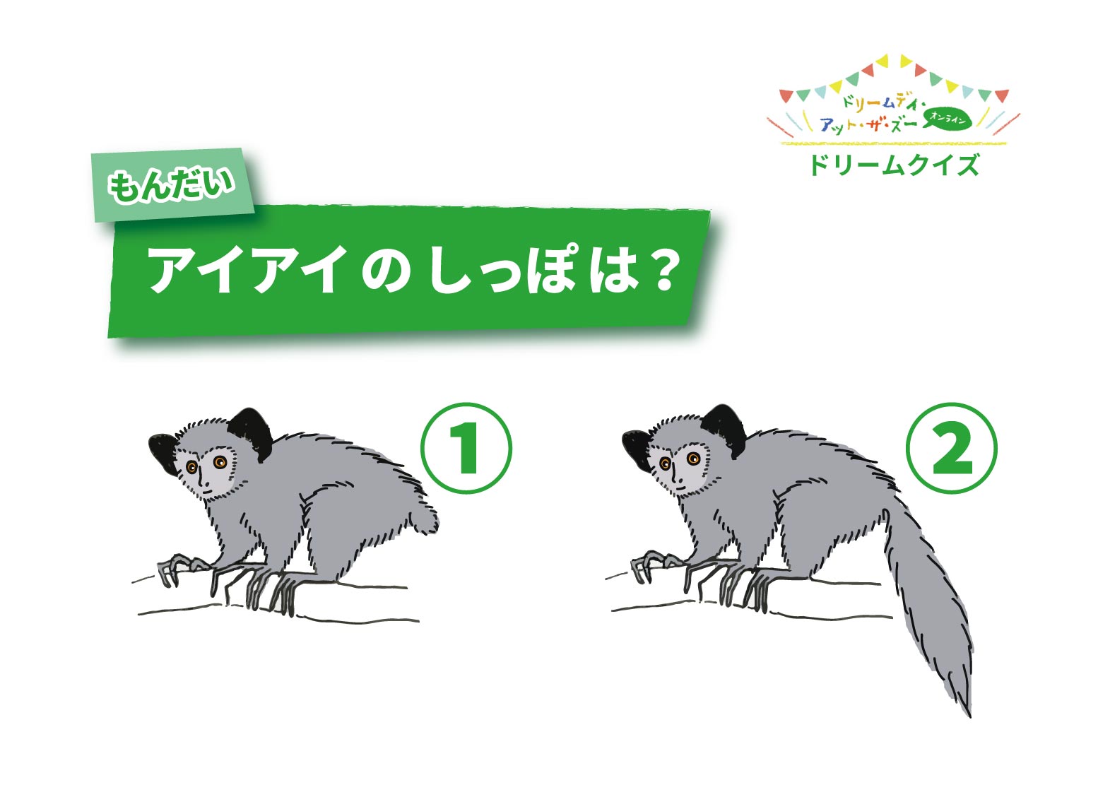 تويتر 上野動物園 公式 على تويتر ドリームクイズ 第5問 アイアイ の しっぽ は こたえ ながい しっぽ ながくて ふさふさだね T Co Jpc9iizjiz