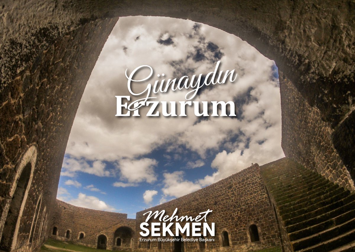 Mehmet Sekmen