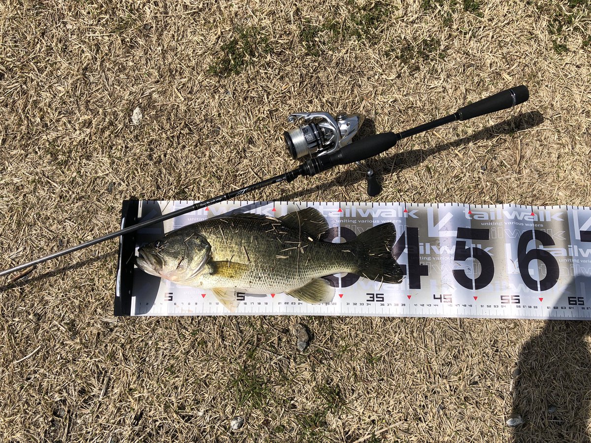 テイルウォーク Hashtag Pa Twitter