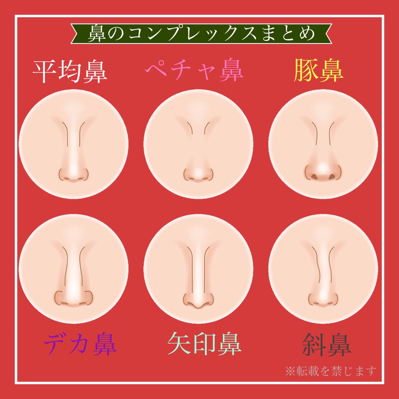 鼻整形の名医相談 小鼻縮小 鼻翼縮小 鼻尖形成 鼻中隔延長 鼻尖縮小 二重整形 プロテーゼの失敗 鼻のコンプレックスをまとめました 平均鼻 ペチャ鼻 豚鼻 デカ鼻 矢印鼻 斜鼻 それぞれを解消するためにどういった鼻の整形があるかも資料