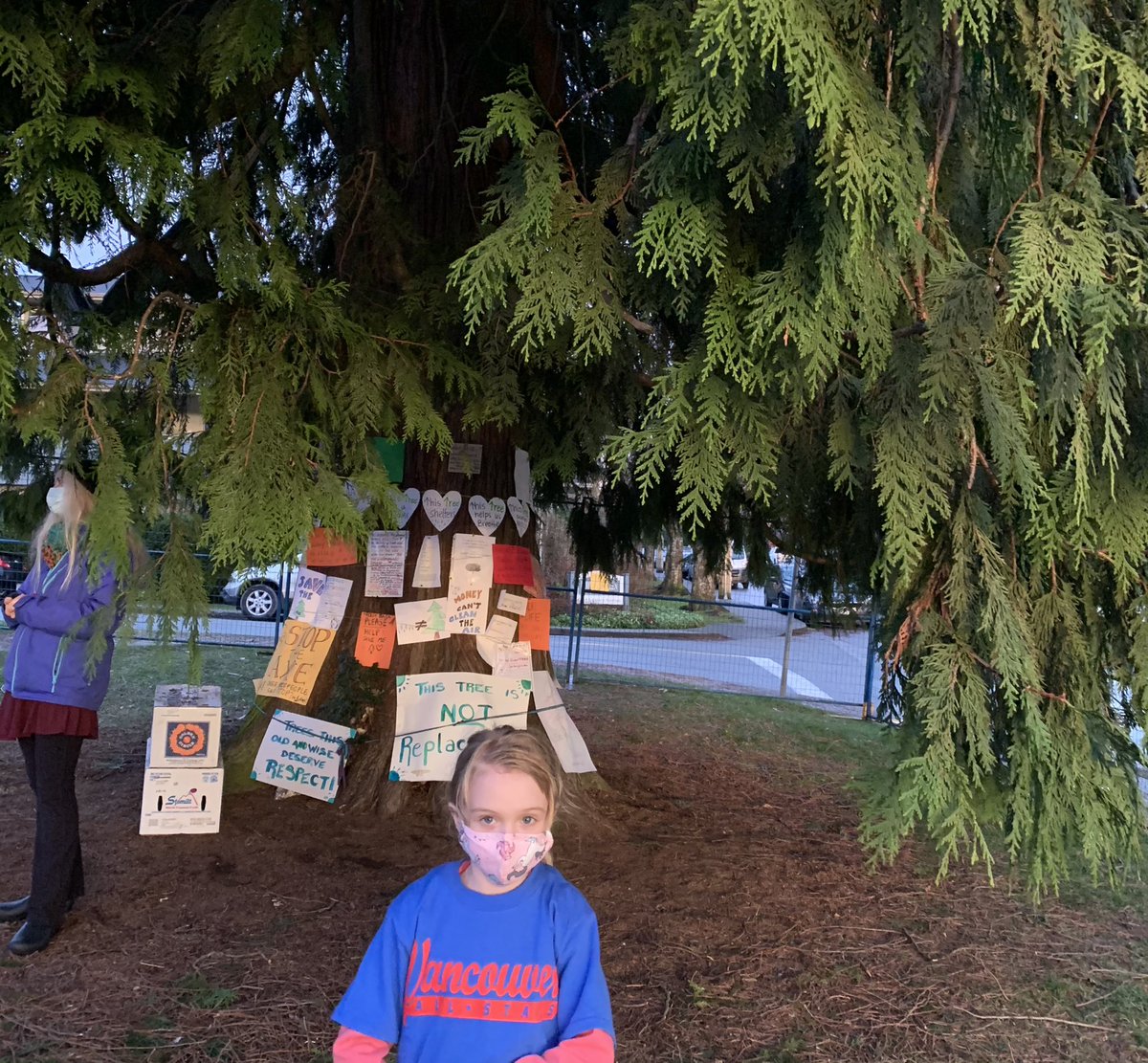 CadenceCompton's tweet image. Please help us save the #communitytree #Lonsdale #East21st #NorthVancouver @LeoDiCaprio @RyanReynolds @DarwinConstr #LonsdaleSquare