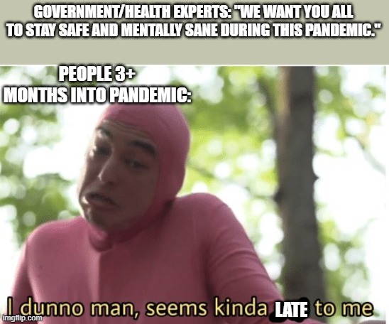 There isn't just Government/Health Experts. Anyone in the public/society can become an health expert.