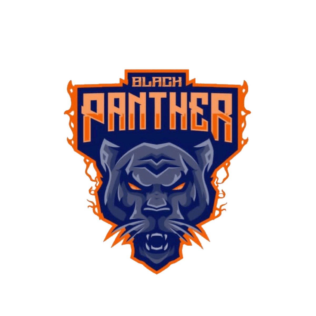 Black Panther tweet media