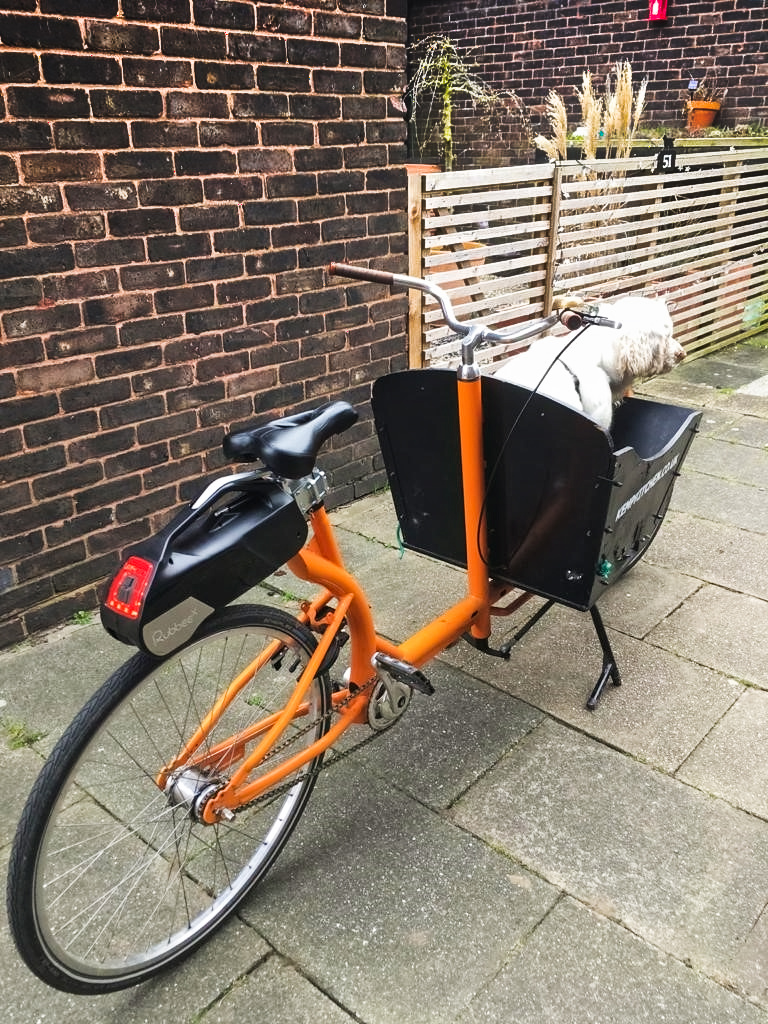 RubbeeDrive's tweet image. Other doggos will be so jealous of Clover's ride to the dog park! ⚡🚴🐶

#rubbee #ebike #electricbikes #cargobike #bikes #emobility #electriclifestyle #ElectricVehicles