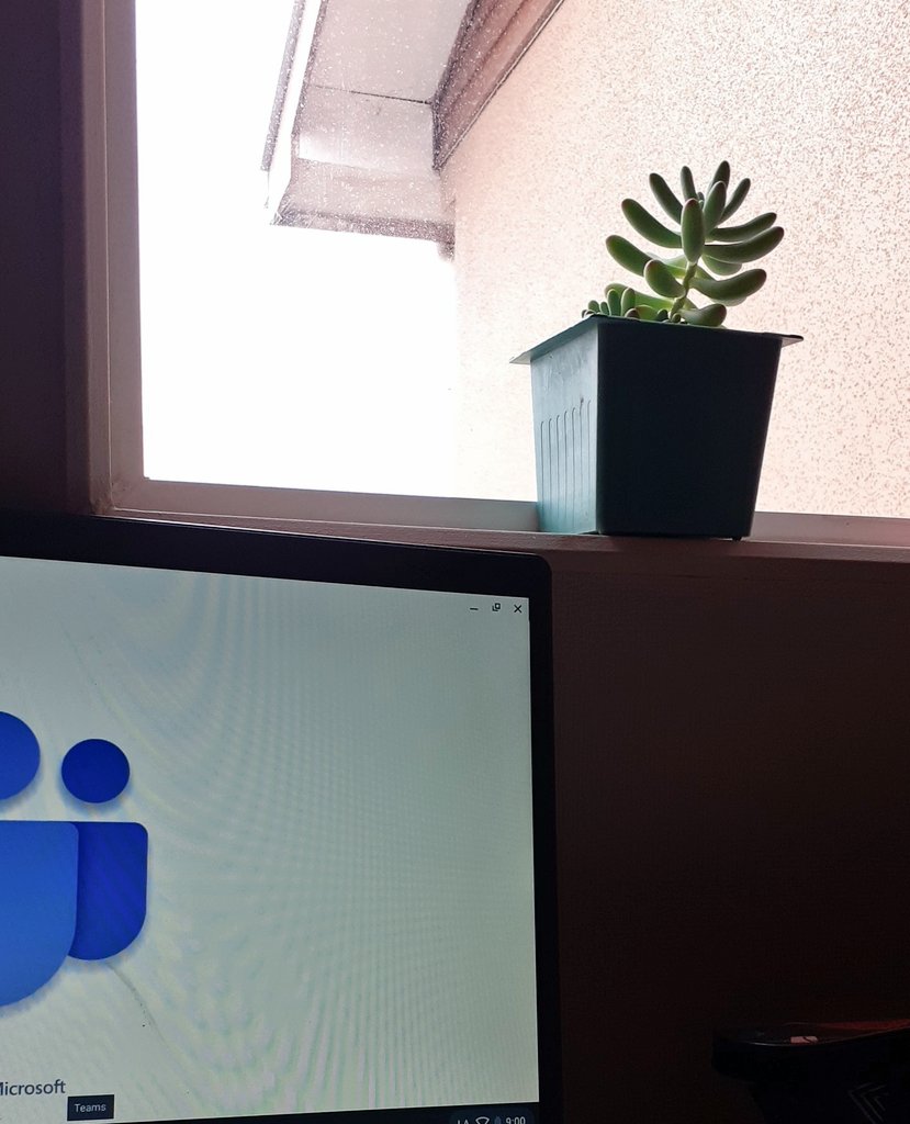 pezoa_krishna's tweet photo. Resumen de mi semana en una foto 🌱🐳 https://t.co/bMJoICBiOx