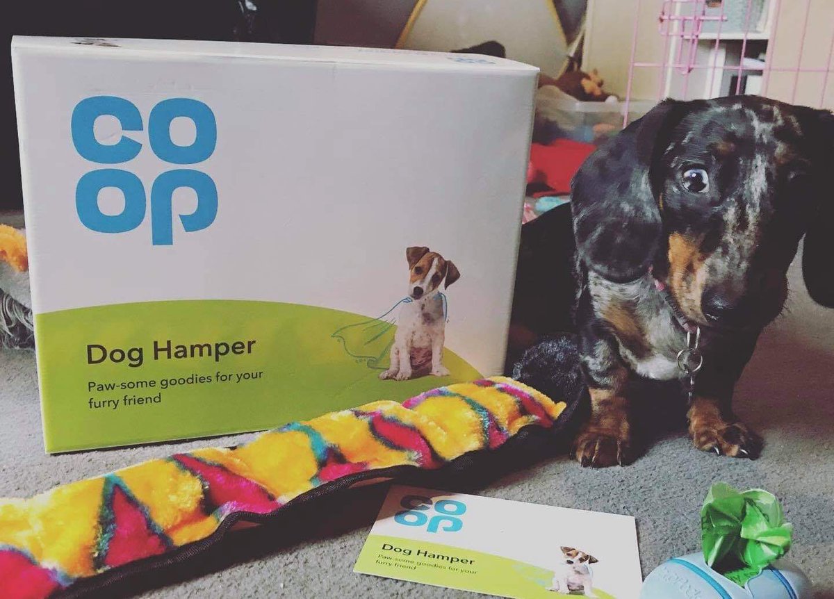 Don't forget the <a href="/coopuk/">Co-op</a> do pet insurance, we got this hamper in the post today for insuring our girl with them 🥰 #coop #coopcollegue #itswhatwedo #petinsurance #dachshund #sausagedog #dog
