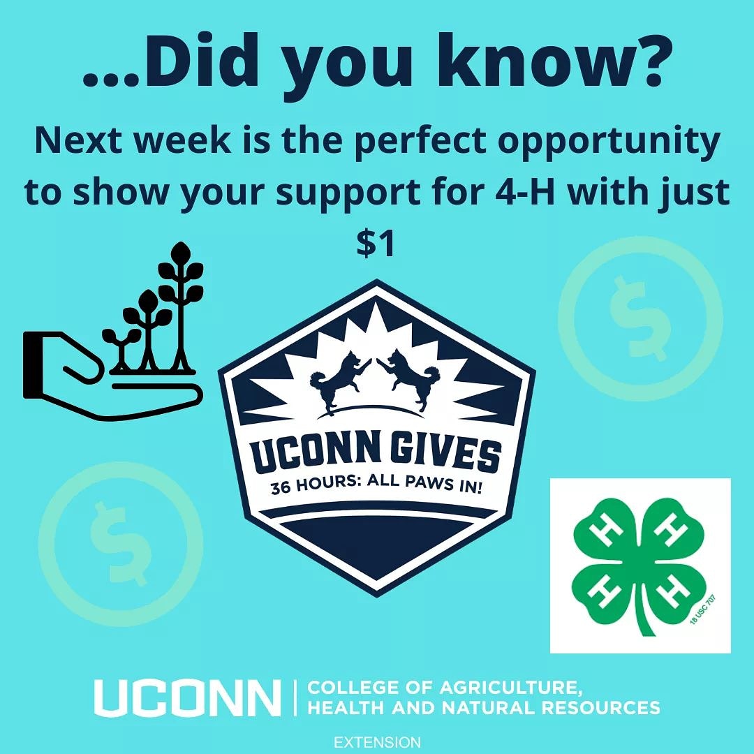 UConnHartford4h's tweet photo. Learn more here: https://t.co/Ike0HjIOVy https://t.co/vAA2uR9Qf8