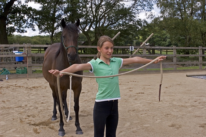 ThinkLikeaPony tweet media