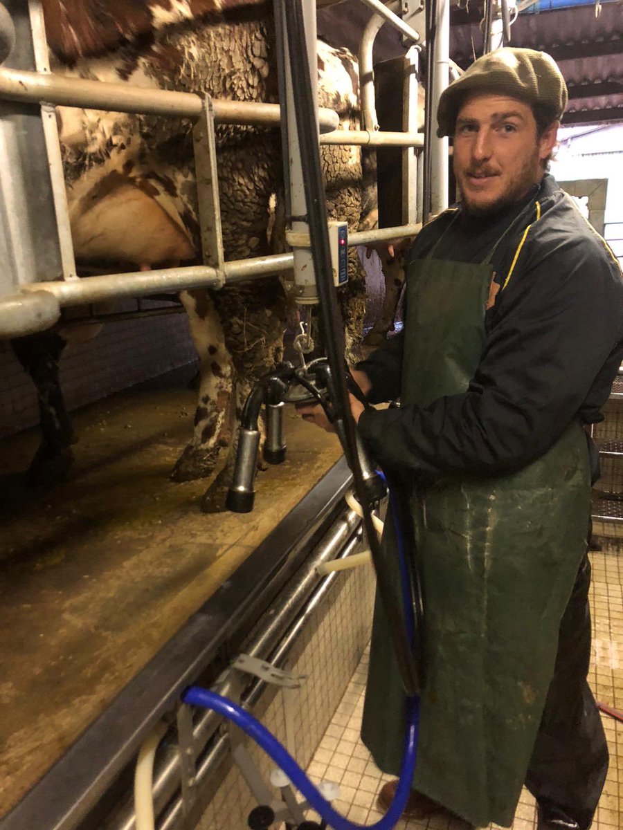 SociedaddeCria1's tweet photo. Mateo Sanguinetti,rugbier profesional ,estuvo unos días en Normandía. Visito la casa de Pascal Lemoine amigo de nuestra casa,interesado en conocer la raza, ya que su intención a futuro es continuar en la actividad lechera. Una gran experiencia según nos contó! https://t.co/SGyVGsvJVH