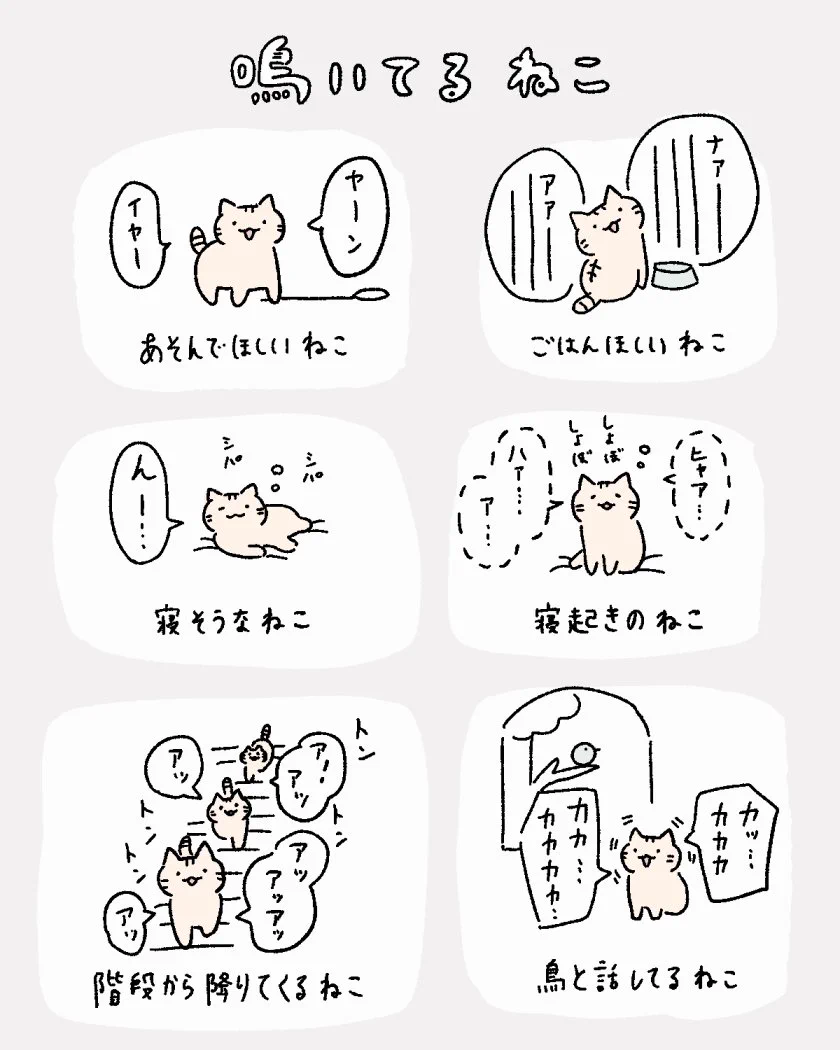 鳴き声でわかる？ネコの鳴き声にもいろいろある！