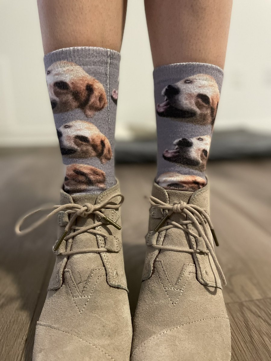 La__Scott's tweet photo. #HSVrockyoursocks with nonother than the Wrigley pup https://t.co/tm8OFS3bEa