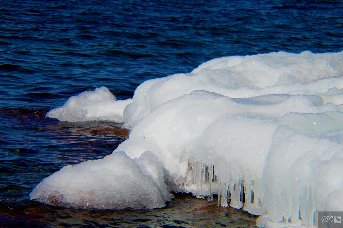 IslandSnipe's tweet photo. Chilly morning #nature #NaturePhotography #SICcontent #canonphotography #Canon #canonusa #CanonChat #canonfavpic #stlawrenceriver #thousandislands #1000islands #spring #thaw #ice #nny #upstateny #river https://t.co/WUIR7dtYnQ