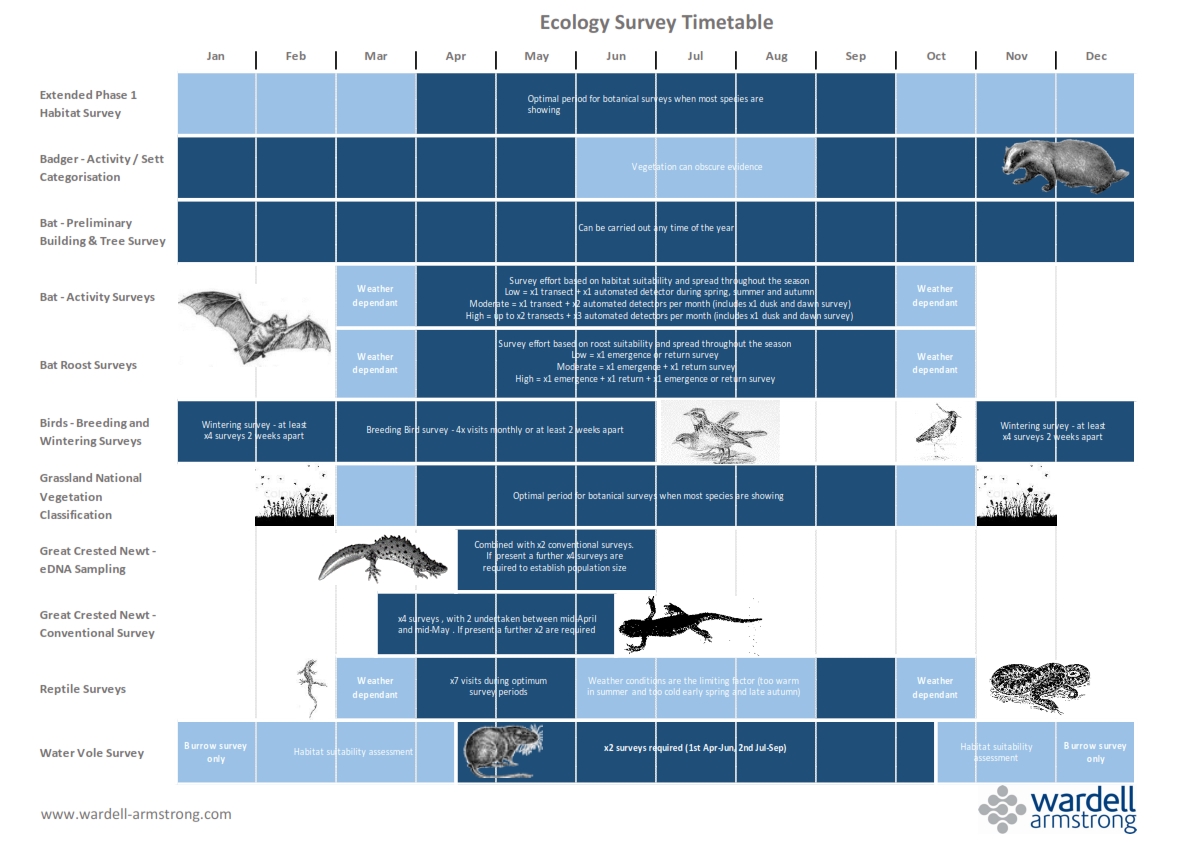 Ecology season is here!  Here's our handy survey timetable.  Early identification of ecological constraints ensures that development proposals are not delayed &amp; appropriate mitigation or compensation is incorporated into design and construction.  Get in touch if you need support