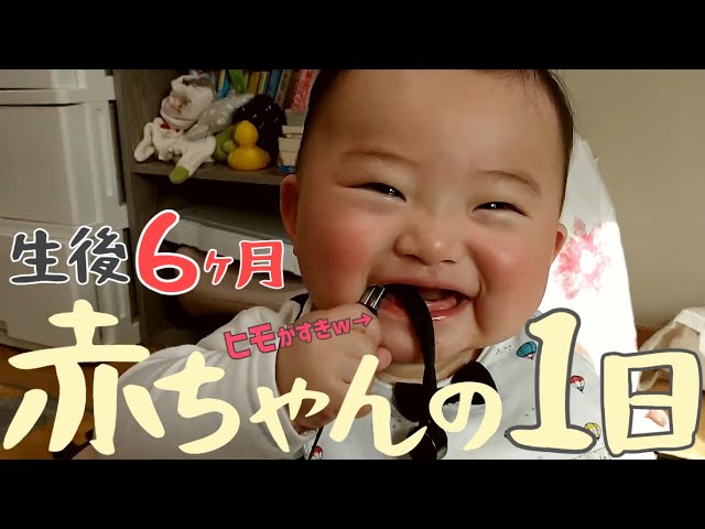 はぐみちゃん 赤ちゃんだと思ってた息子が１日いちにち少年に近づいていくのが嬉しいし寂しい っていってもまだ0歳だけど 新生児の姿が頭に焼きついてるから 自分でおすわりできたり 食べ物食べ始めるだけですごい成長にみえる そんな１日を撮影してみ