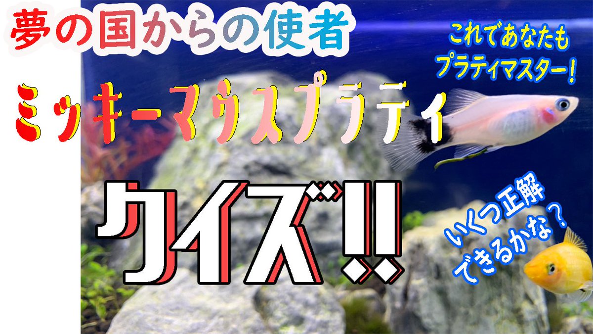 めがね S Megane 3 Twitter めがね S Megane 3 Twitter