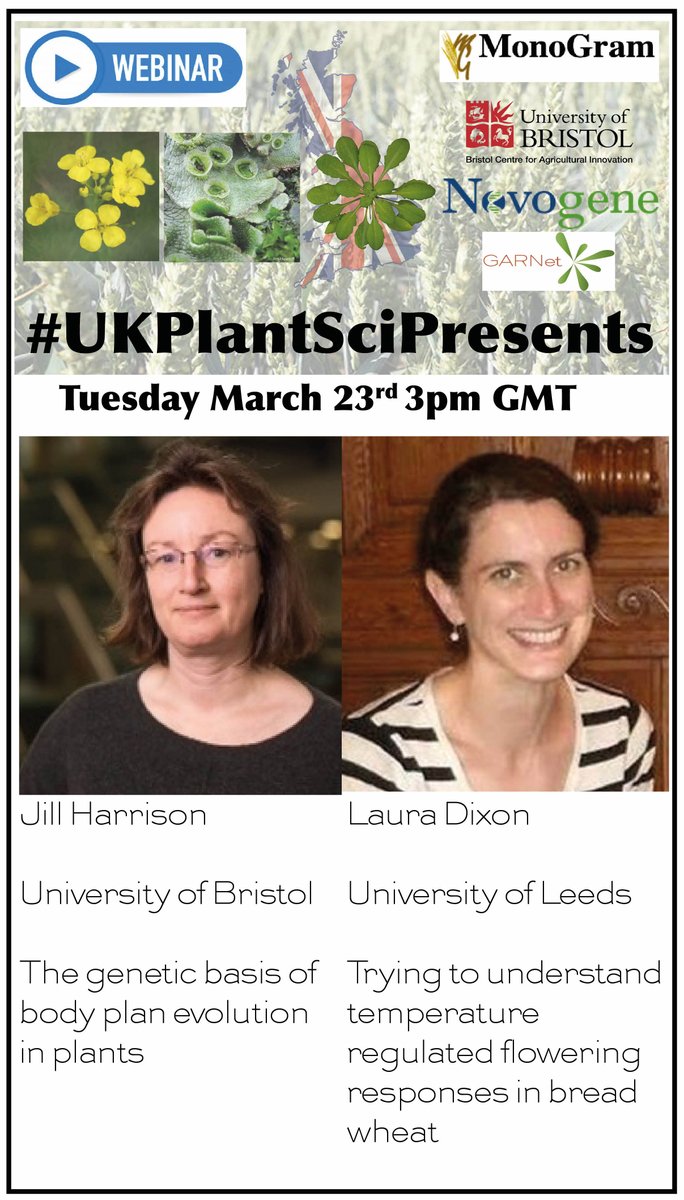 TUESDAY March 23rd 3pm GMT on #UKPlantSciPresents

👩‍💻 Jill Harrison <a href="/BCAI_UoB/">Bristol Centre for Agricultural Innovation</a> <a href="/BristolBioSci/">University of Bristol Biological Sciences</a>
👩‍💻 Laura Dixon <a href="/Dixon_LE/">Laura Dixon</a> <a href="/PlantSciLeeds/">Plant Sciences Leeds</a> 

Register for free: register.gotowebinar.com/register/80028…