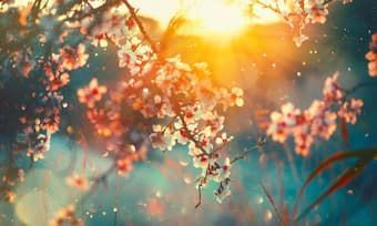 ExpressiveAudio's tweet image. Welcome the start of Spring with these 7 incredible classical piano pieces about Spring from @interludeHK What's your favourite Springtime song? #SpringMusic #PianoMusic #ClassicalMusic buff.ly/3tEKBYl