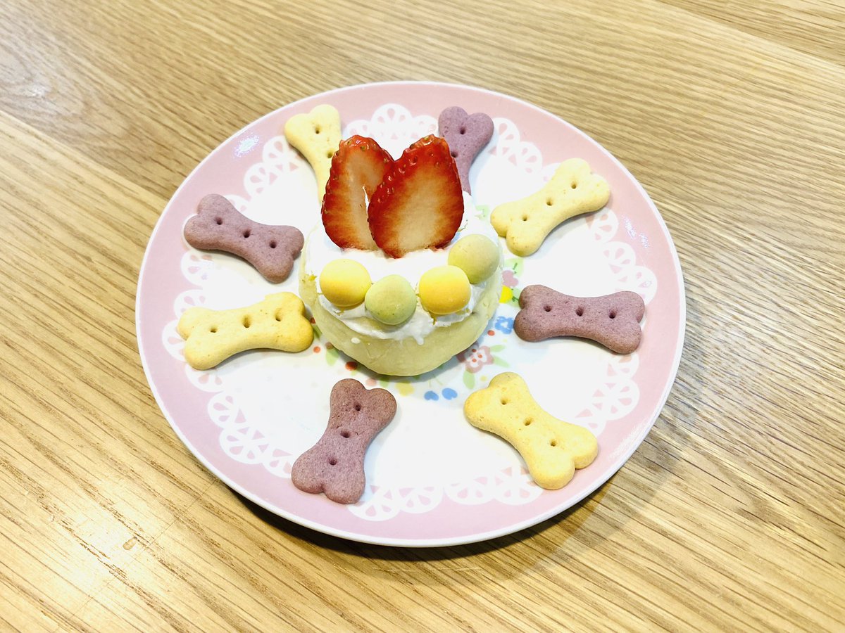 おいぬ1歳の誕生日 大好物のクッキーで飾りつけしたら悪の儀式みたいになった 吉本ユータヌキのイラスト