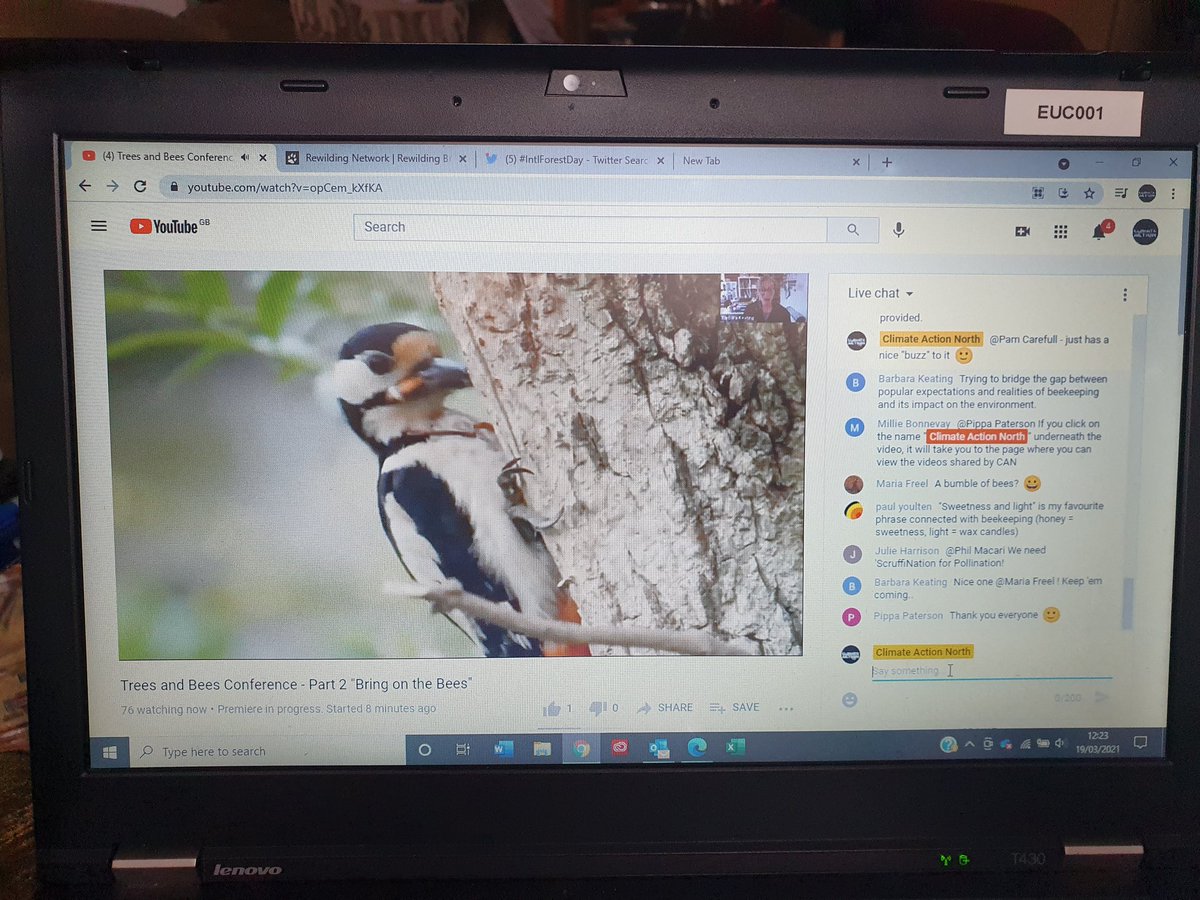 ClimateActionNE's tweet photo. Excellent talk from @pmnogue in Part 2 of our #TreesAndBees conference - fascinating #bee facts. "We need to start thinking of Bees in a different way" β€ππ³
#BeeMoreTree #biodiversity #beewilding #naturebasedsolutions #ForNature #generationrestoration https://t.co/s9c4yGGSVc