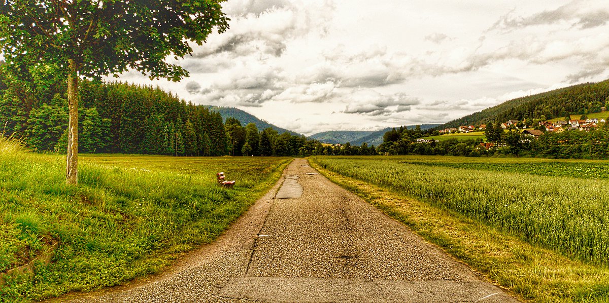 @deborahpriss.bsky.social tweet media