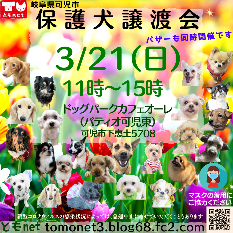 おどりまゆみ 保護犬譲渡会 岐阜 3月21日 日 11時 15時 可児市のドッグパークカフェ オーレにて ともnetさんの保護犬譲渡会 バザーが行われる予定です 新型コロナが再度感染拡大した場合は急遽中止になることもあります T Co