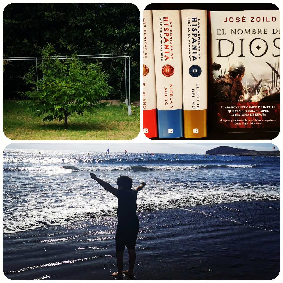 Aquí mis \, image size:1200x1200