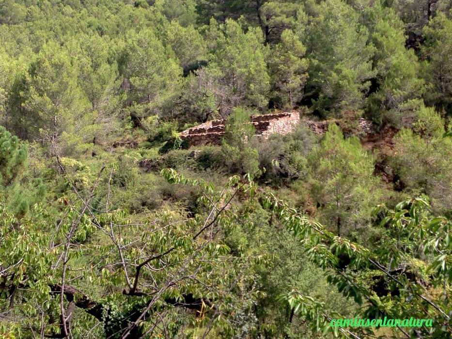 caminsnatura's tweet photo. 📸 Corral en ruïnes a la Solana de #Xinquer, a prop del camí de l'#AlcúdiaDeVeo a #Matet.
📍 #SerraEspadà. https://t.co/bBjYzBWfI1
