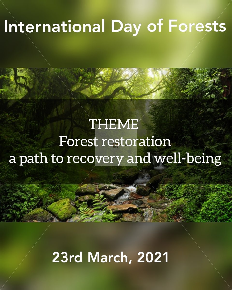 Environment_Ke's tweet photo. There are three public forests in Kajiado County covering a total area of 16,861.4 ha. They are Ngong Hills, Namanga Hills and Loitokitok Forest #InternationalDayOfForests #IDF2021Ke #ForestRecoveryForWellbeing #TreesForBetterLives https://t.co/afgkWqi0UN
