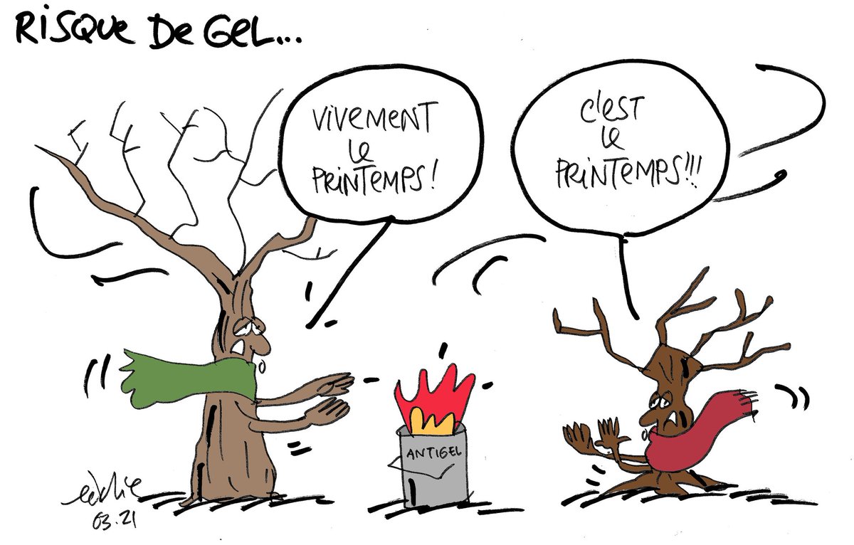 Pour le Paysan du Midi de cette semaine