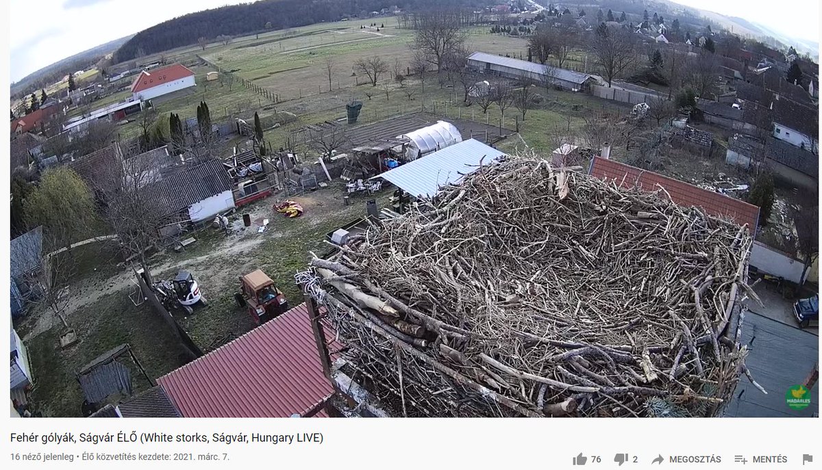 Megfordították a kamerát, tavaly más szögből mutatta a fészket, mely egyelőre várja a lakókat. 
#ságvár #hungarylive #madármegfigyelő #fehérgólya #gólyafészek

youtube.com/watch?v=CymbDe…