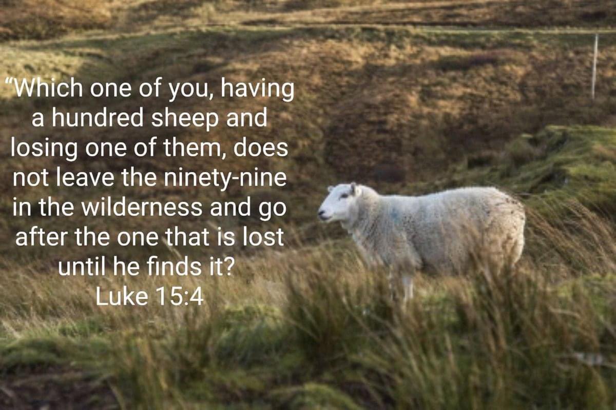 belhavenparish's tweet photo. Every day during Lent we are posting a bit from the Bible that says something about the life and work of Jesus. Day 27. For the next 6 days, each day will be a different parable of Jesus. Today – the Lost Sheep. Luke 15:4  https://t.co/K3UdsDNvQN https://t.co/7Pm6soofQH