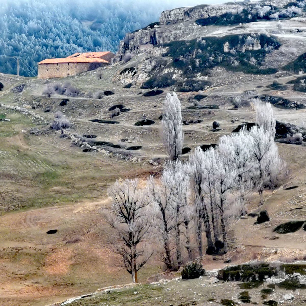 Valdelinares's tweet photo. De momento no nieva en Valdelinares pero nos hemos despertado helados!!!!
🌲❄️🥶🥶❄️🌲
#valdelinares
#municipiomasaltodeespaña
#descubrevaldelinares
#escarcha
#gebra
#hielo
#marzo
#turismogudarjavalambre
#teruel
#aragon
#spain https://t.co/Ytoc8vKfpj