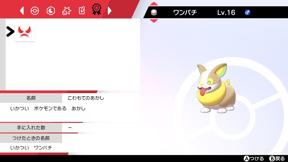 なざ いろいろなワンパチ ポケモン剣盾 Nintendoswitch なざ いろいろなワンパチ ポケモン剣盾 Nintendoswitch