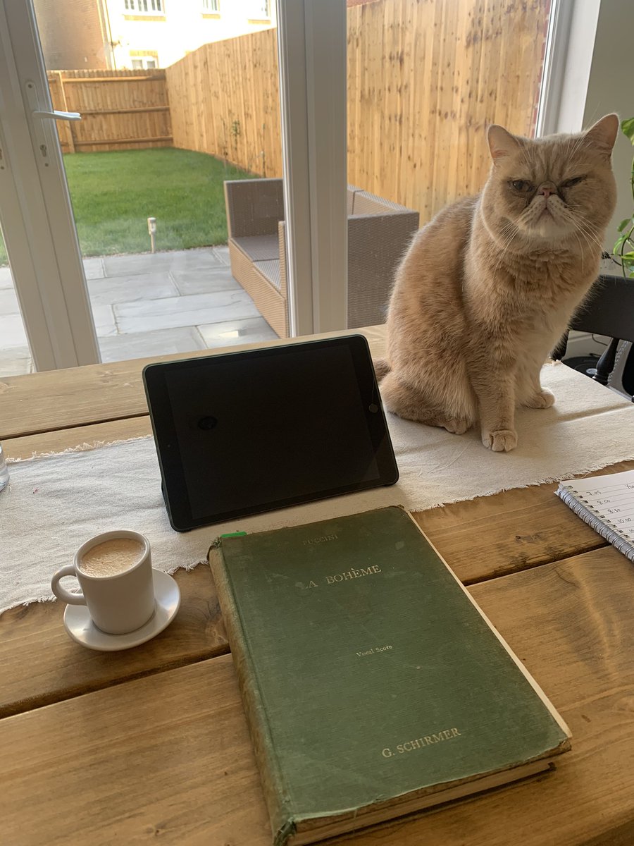 Feels good to be prepping again after so much time. Teddy is my Italian coach this morning! @grangeparkopera #laboheme #summer #opentheatres #singing #realjob #schaunard