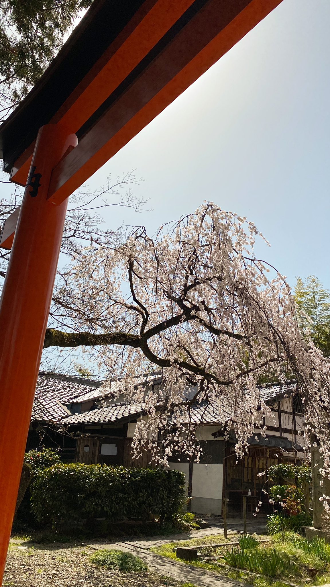 花山稲荷神社 Twitter Search Twitter