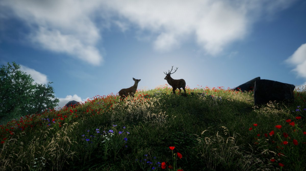 tftc_game's tweet image. Would you like to get a photo mode in TFTC?
#ue4 #TFTCgame #polymode #indiedev #indiegame