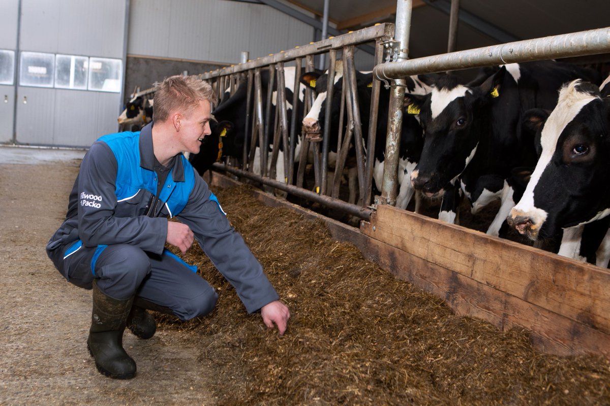 FullwoodPackoUK's tweet photo. Farmers believe that healthier cows result in more profitable milk, and we agree! 🥛🐄

To find out how M²erlin supports the best results possible follow the link below:
https://t.co/A9eASNhtuC 

#WeCare #Milk #Quality #CowFirst https://t.co/otbf1VXoTk