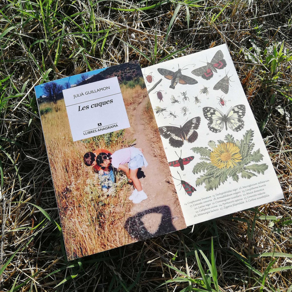 AnagramaEditor's tweet photo. “La de @JuliaGuillamon és una natura de sortides, lectures, converses i un gavadal d'hores d'observació, davant d'una font que raja tímida, d'un rierol esmaperdut…” (Lourdes Toledo, Levante)
#LesCuques #LlibresAnagrama https://t.co/mm9FXt20H4 https://t.co/2xLFAgUeA4