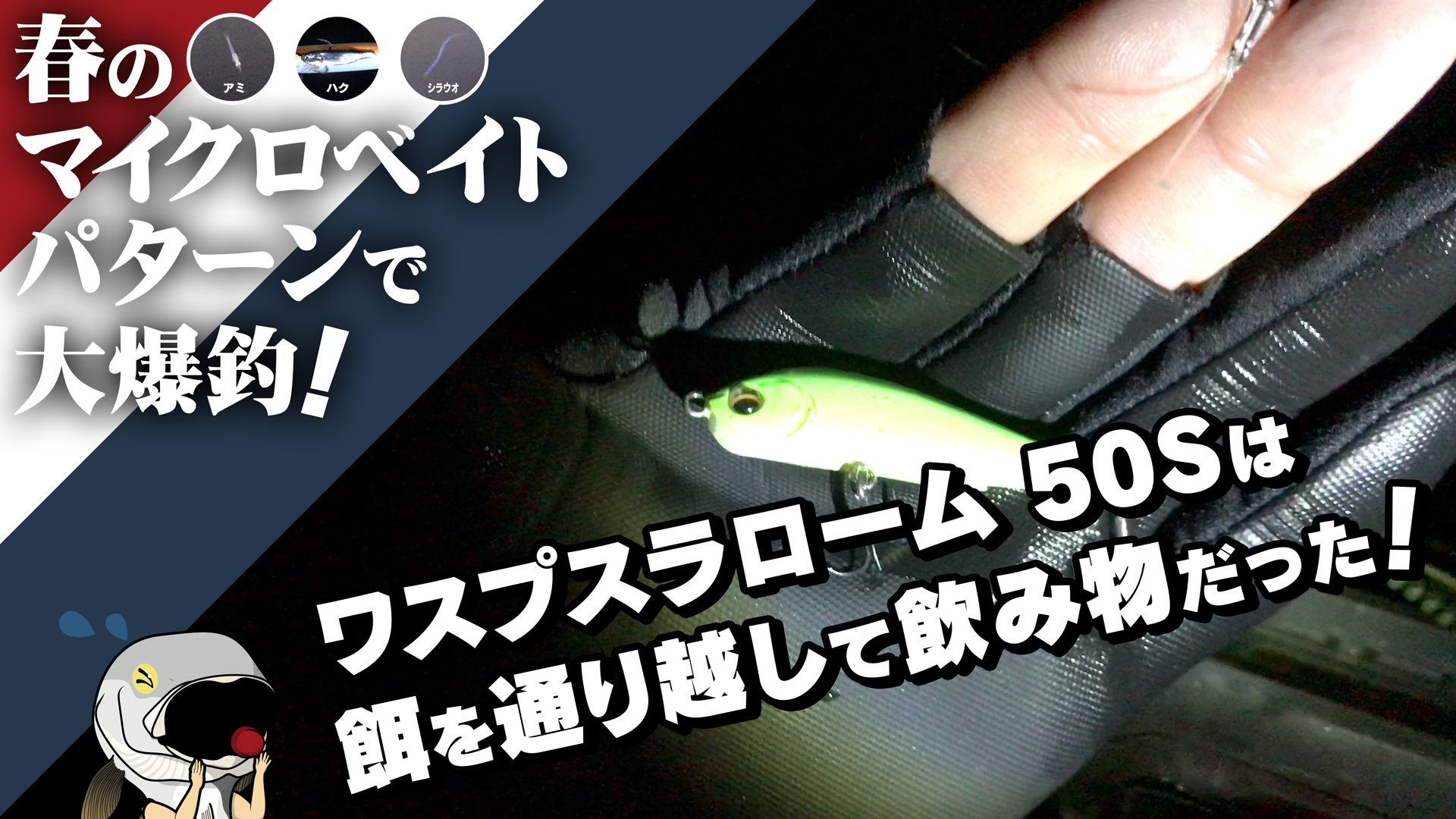 Luretist 難攻不落のマイクロベイトパターンで釣りしたら ワスプスラローム 50sは餌を通り越して飲み物だった T Co Bxoknh09zs シーバス マイクロベイトパターン ハク アミ シラウオ ツ抜け ピックアップ ワスプスラローム50s ルアー