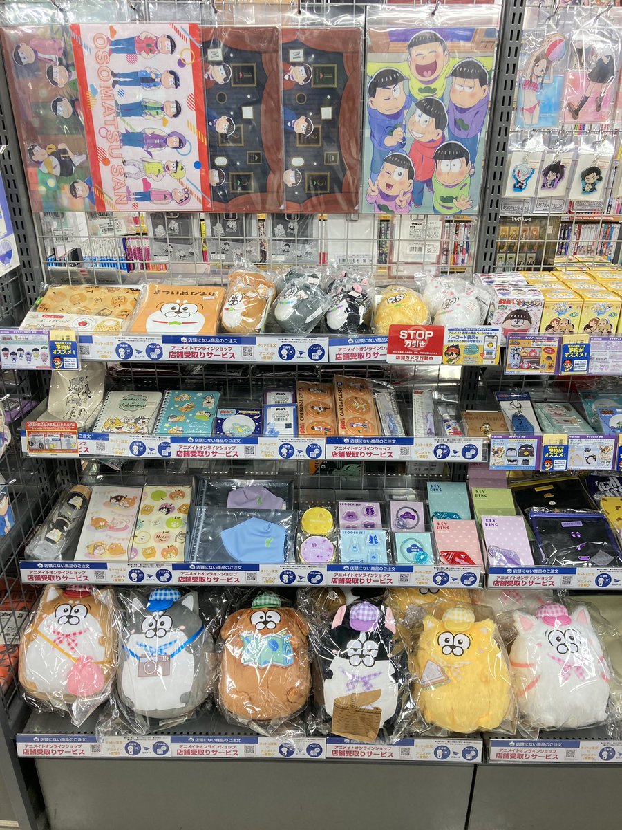 アニメイト松戸 営業時間 12 00 00 در توییتر キャラ入荷情報 おそ松さん の 松犬 まついぬ グッズ各種 まついぬびより が入荷しましたド コーナーにて展開中