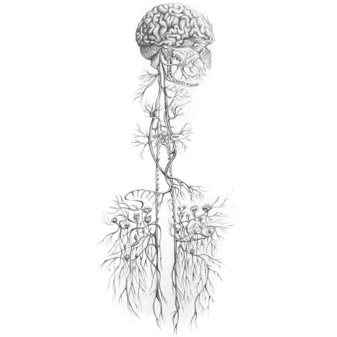 janeparenting2's tweet photo. Nurturing mental health needs to start with understanding the significance of polyvagal theory. 

And targeting balance and regulation in the child or adults nervous system. 

This is BRILLIANT https://t.co/MHYFFTJTld 

#mentalhealth #Wellbeing #health https://t.co/Mc2hmUeL7Y