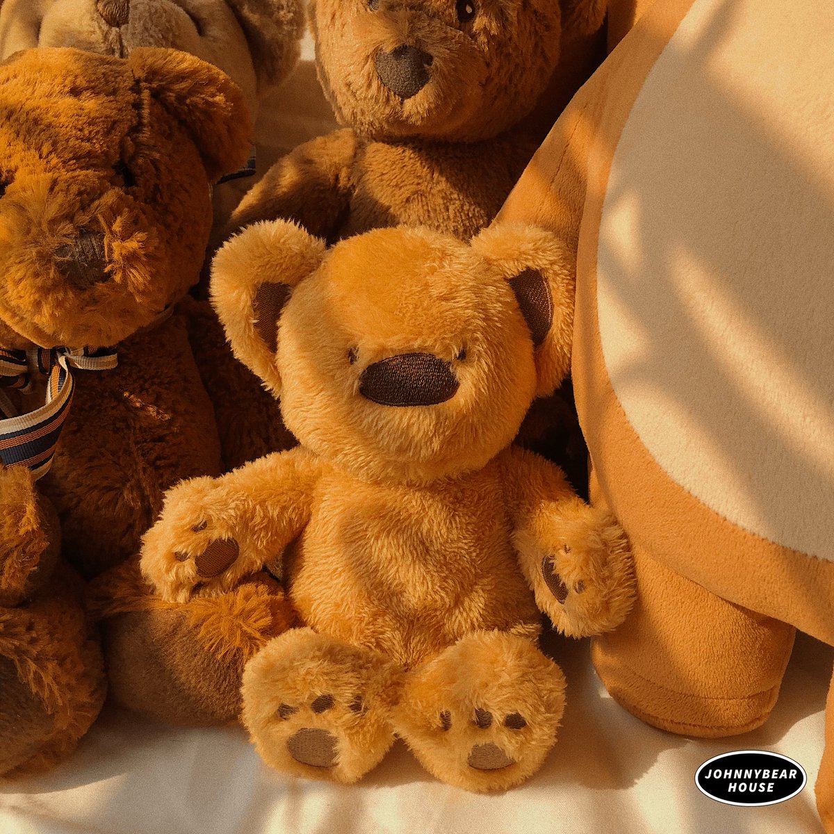 จอห์นนี่แบร์เป็นน้องคนเล็กของครอบครัวหมี 🧸💛