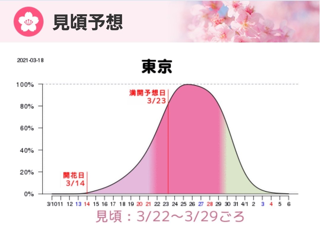Сакура режим работы. График цветения Сакуры. Японский график. График насыщенности. График цветения Сакуры в Японии 2024.