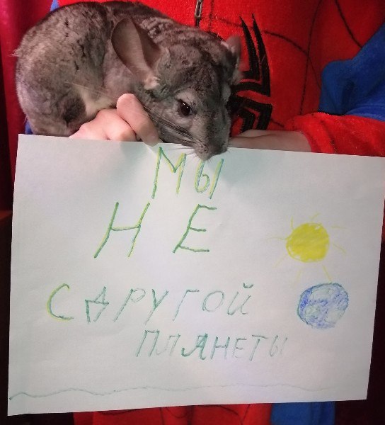 A chinchilla and a sign saying "мы не с другой планеты", translated: "we're not from another planet"