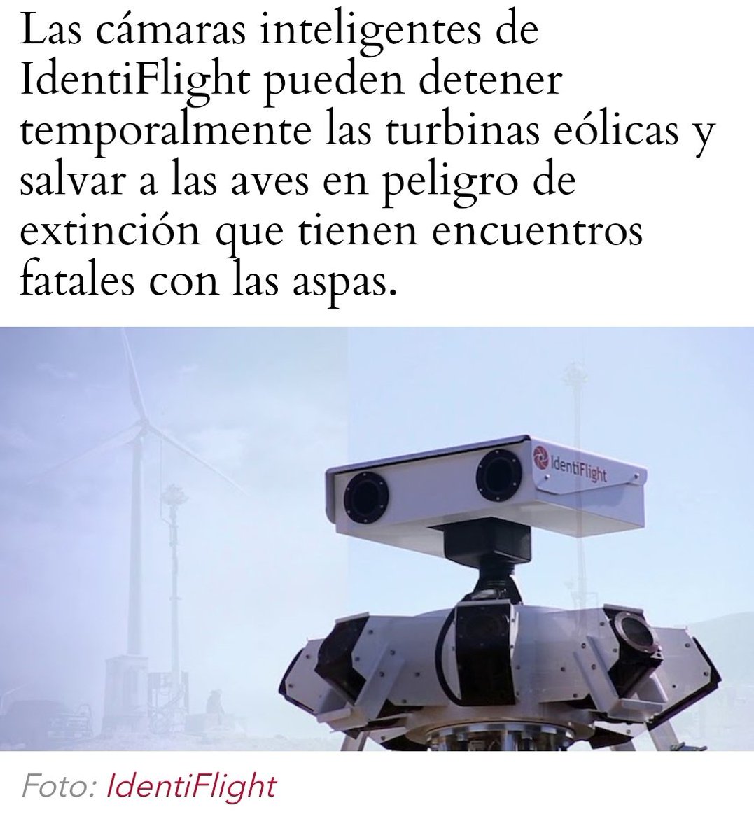 ADENSVA's tweet photo. Ya existen dispositivos que frenan las palas y evitan hasta en un 80% las muertes.
Solo pintando una pala de negro la mortandad disminuye hasta el 70%
TAN DIFÍCIL ES??
SÓLO ES UN POCO DE VOLUNTAD...
https://t.co/uYZCPKoylg
@ERenovables #IdentiFlight
#eólicas https://t.co/a766hCzsLP