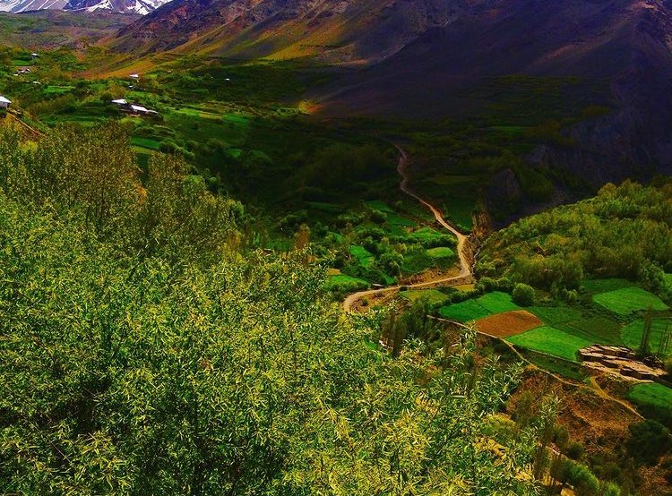 ChitralPK's tweet image. Khot Valley!!
The unexplored &amp;amp; the hidden gem of Chitral 🇵🇰

© Khalid Kazmi 
#BeautifulBeautiful #Chitral