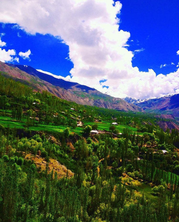 ChitralPK's tweet image. Khot Valley!!
The unexplored &amp;amp; the hidden gem of Chitral 🇵🇰

© Khalid Kazmi 
#BeautifulBeautiful #Chitral