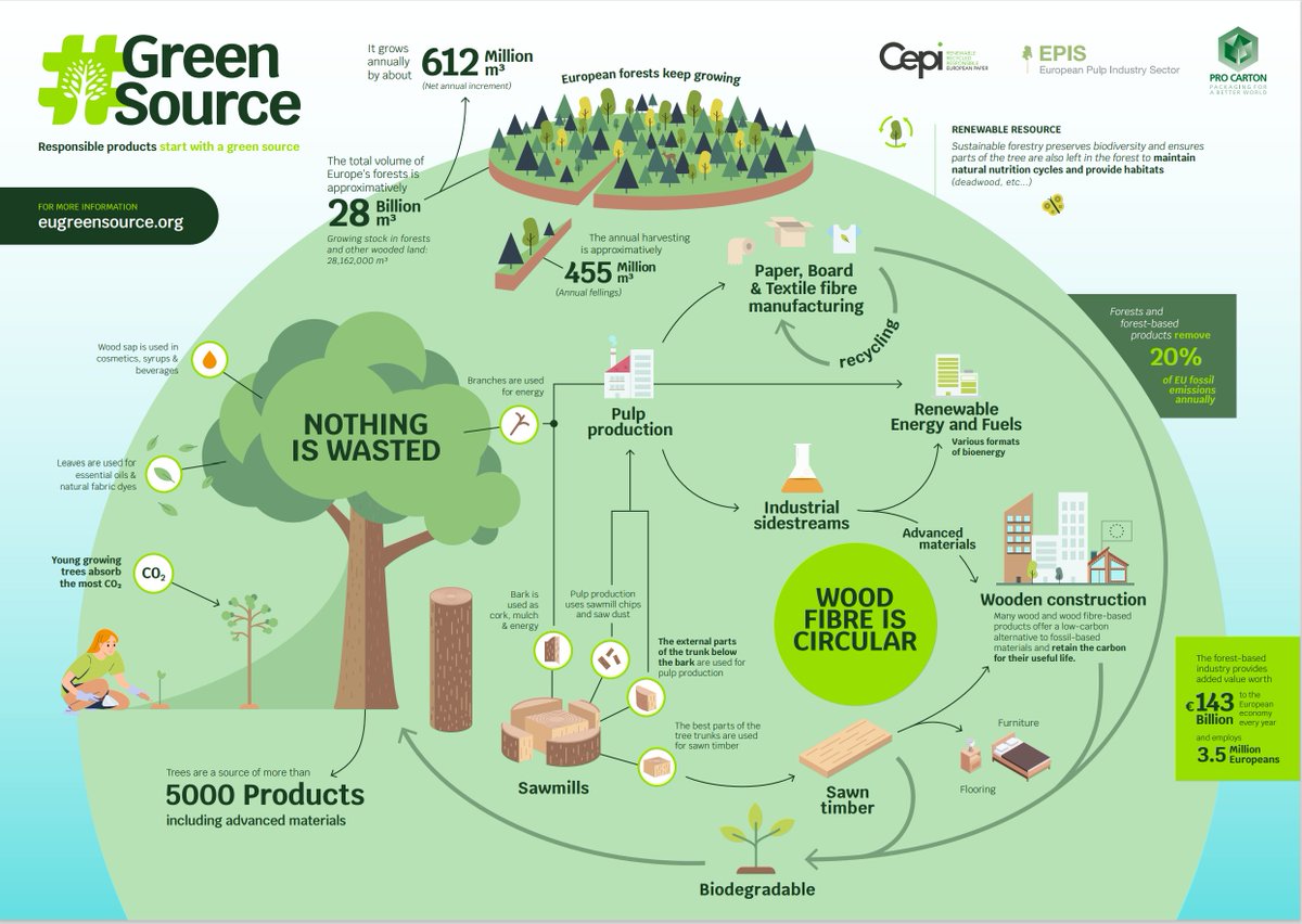 #Bioeconomy means using renewable biological resources to produce food, materials and energy. And a #circular forest-based economy does just that! 🔁🌳 #DYK that trees are a source of 5000+ products we use every day 📦🍃 
eugreensource.org 
#Greensource🤝<a href="/Cepi_Paper/">Cepi</a> &amp; EPIS