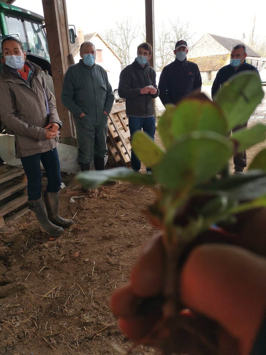 Veaulin Brice 🚜🌾🌻🌽 tweet media